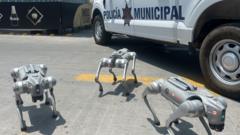 Robodogs and helicopters: One Mexican city’s approach to World Cup security
