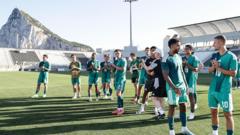 NI’s record side show grit beyond their years